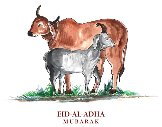 Qurbani, A Spiritual Duty and Its Economic Wisdom