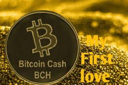 Bitcoin Cash ( BCH) - My first love