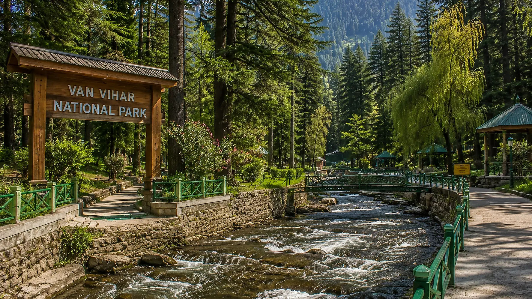 Van Vihar National Park surrounded by deodar trees in Manali