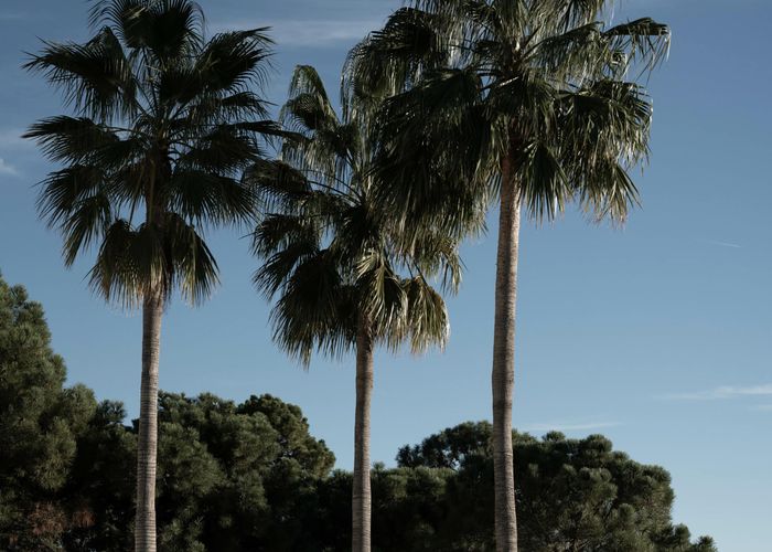 Sell your property in Marbella with us