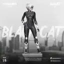 black cat - foto 2