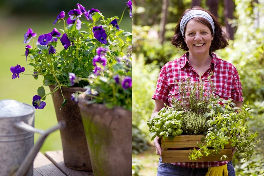 Klacht atmosfeer Boodschapper Bloempotten: Hoe maak je een prachtige tuin met bloempotten? | Gordijnen.nl