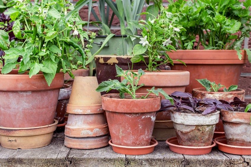 Klacht atmosfeer Boodschapper Bloempotten: Hoe maak je een prachtige tuin met bloempotten? | Gordijnen.nl