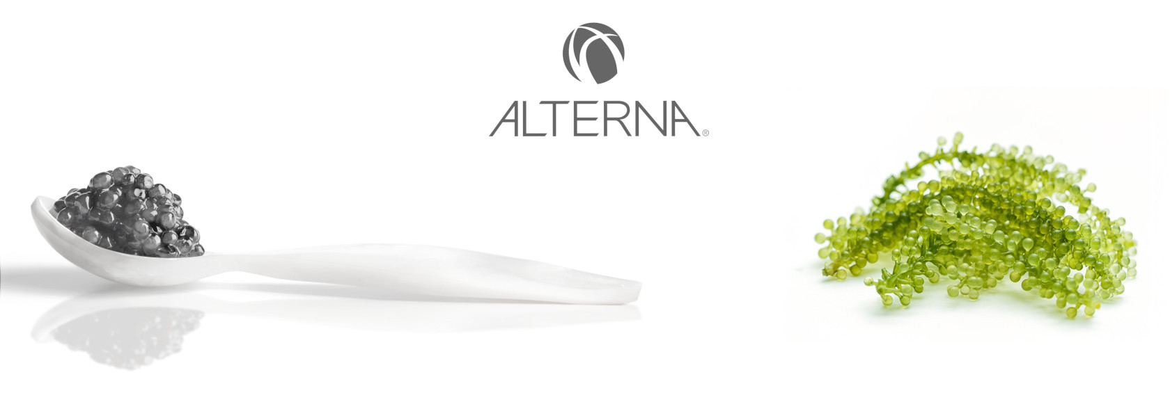 ALTERNA