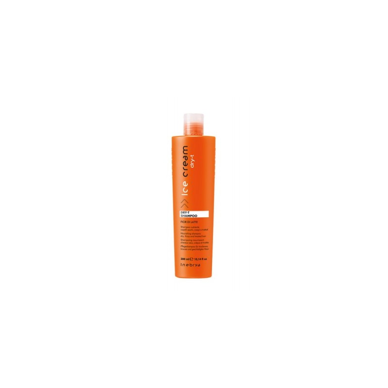 Inebrya DRY-T Shampoo 100ml