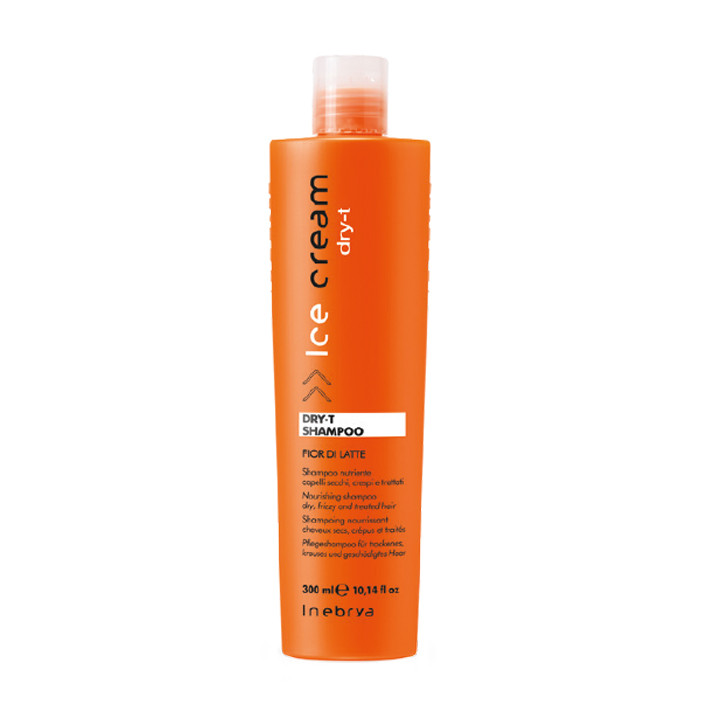 Inebrya DRY-T Shampoo 300ml