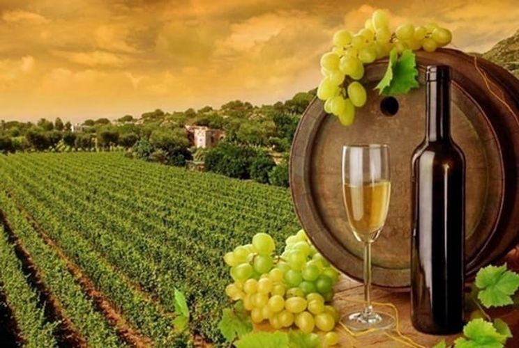 Ramanagara Wine Tours 