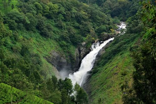 Bangalore Munnar Honeymoon Tour