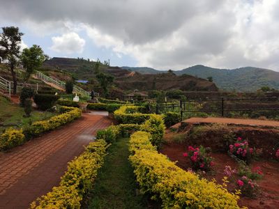 Rock Garden