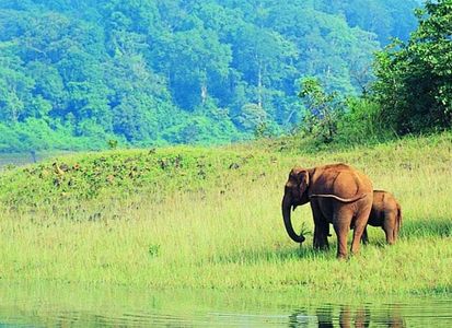 Periyar National Park