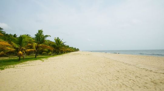 Alleppey Beach