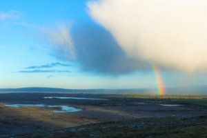 Daniel Burge contact