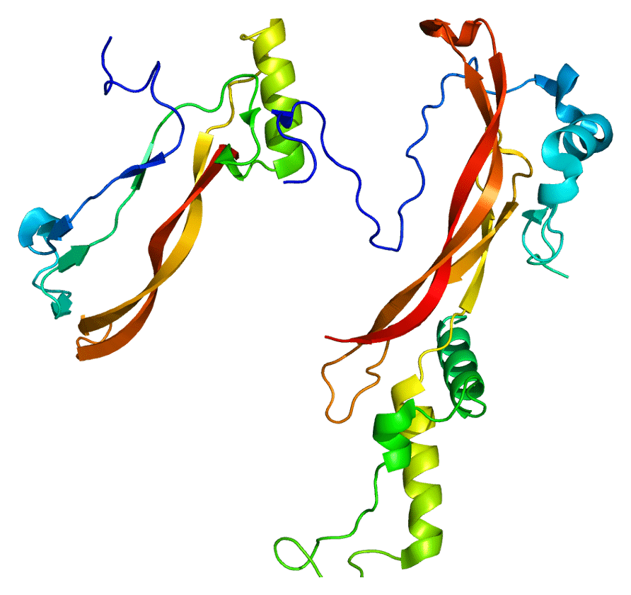 Human Noggin His-Tag GMP Grade Recombinant Protein