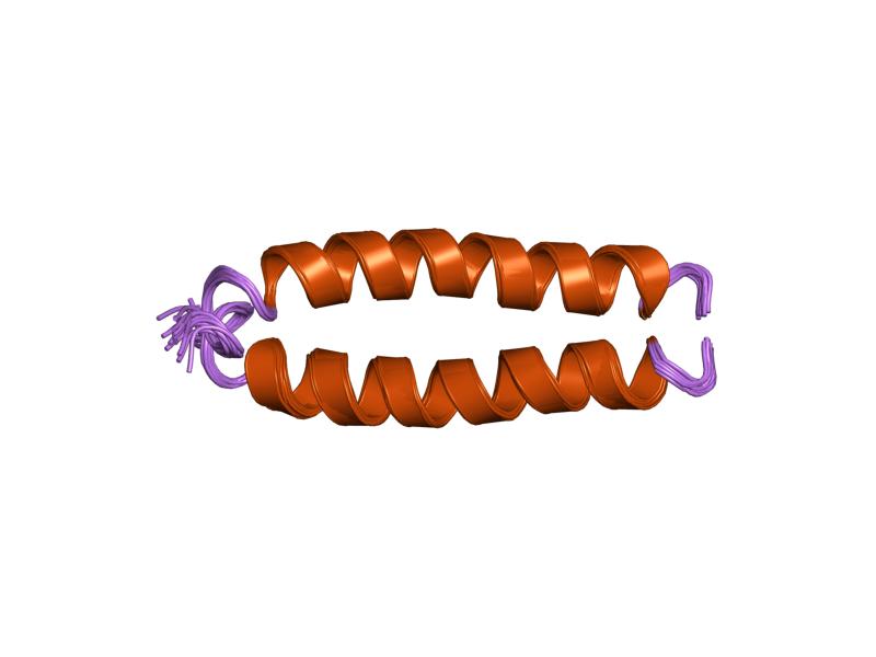 Human Human IL-2 & IL-15 Fusion Protein, Tag Free  GMP Grade Recombinant Protein