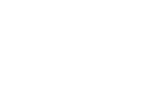ABSTRACT SHAPES 42