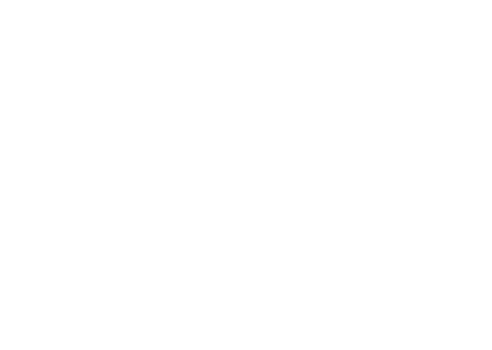 ABSTRACT SHAPES 43