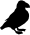 ANIMALS 1