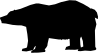ANIMALS 11