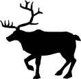 ANIMALS 12