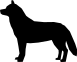 ANIMALS 18