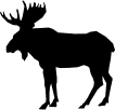 ANIMALS 2