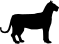 ANIMALS 24