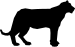 ANIMALS 25
