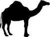 ANIMALS 26
