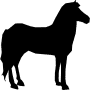 ANIMALS 3