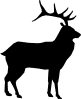 ANIMALS 32