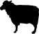 ANIMALS 35
