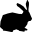 ANIMALS 36