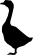 ANIMALS 37
