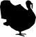 ANIMALS 39