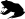 ANIMALS 43