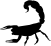 ANIMALS 47