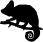ANIMALS 7