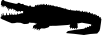 ANIMALS 8