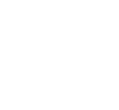 ARROWS 17