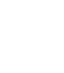 SHAPE BADGES 12