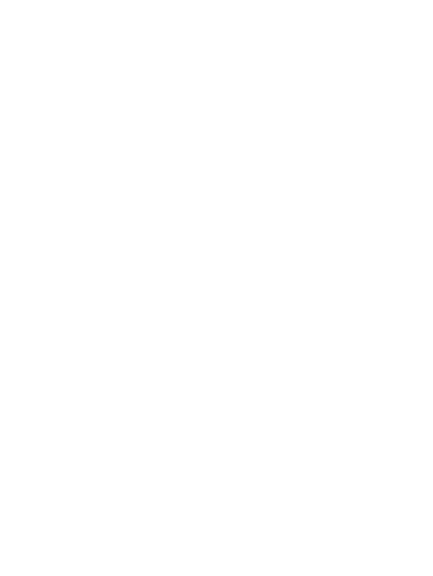 SHAPE BADGES 24