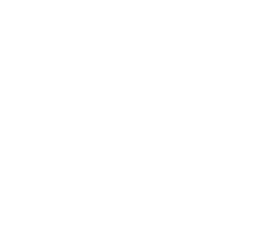 SHAPE BADGES 30