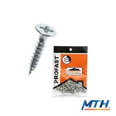 สกรูยึดไม้ฝา(มีปีก) 8X55 02-4538-ข50 Profast (ปลายสว่าน) รูปหน้าปก