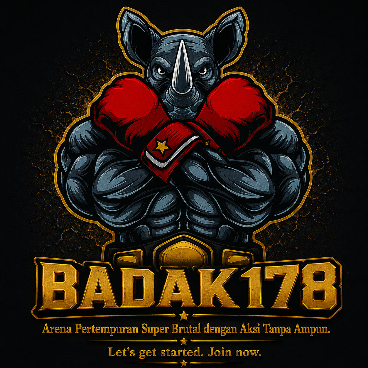 BADAK178