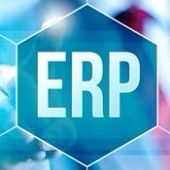 ERP Training Institutes