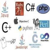 Programming Training Institutes
