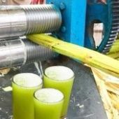 Sugar Cane Juice Centres