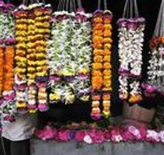 Sagar Flowers