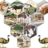 Animal Farming Consultants