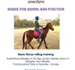 Horse For Riding, Function And Training